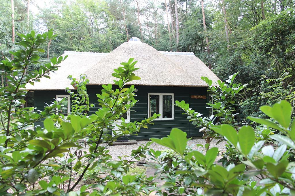 Vakantiehuis 'T Musje Epe Pokój zdjęcie